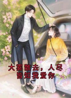 黎念贺迟宴主角抖音小说大雾散去，人尽皆知我爱你在线阅读