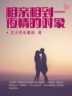 抖音爆款小说相亲相到一夜情的对象赵蕊周衡免费txt全文阅读-欧迈阅读网