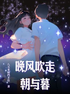 晚风吹走朝与暮(新书)小说_沈晚凝陆时阅读