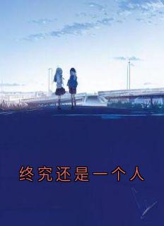 终究还是一个人全本小说(终究还是一个人)全文阅读