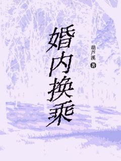 婚内换乘by葫芦溪小说完结版在线阅读-欧迈阅读网