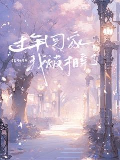 季思沅傅以深是哪部小说的主角 过年回家，我被相亲了全文无弹窗