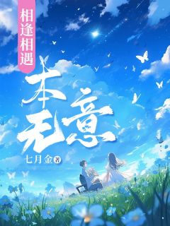 值得熬夜看完的相逢相遇本无意小说阅读