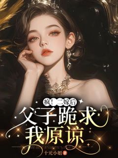 宁桑陆淮之小说疯！二嫁后，父子跪求我原谅完整章节-欧迈阅读网