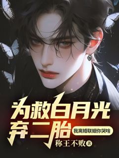 高质量小说为救白月光弃二胎，我离婚联姻你哭啥在线试读