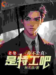 好看的老婆,你不会真是特工吧小说,主角林晨叶寒霜最新章节阅读-欧迈阅读网