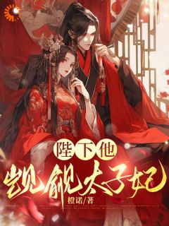 陛下他觊觎太子妃沈清涟萧瑾全章节完结版在线阅读-欧迈阅读网