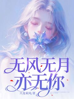 爆款小说由作者兴龙乘风所创作的无风无月亦无你在线阅读