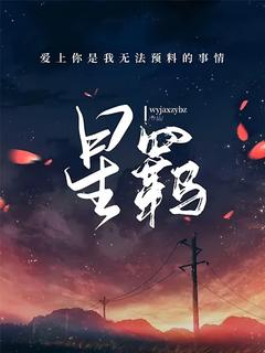 星羁(晓星辰苏羁)全文完整版阅读