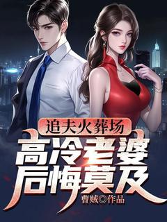 追夫火葬场，高冷老婆后悔莫及萧未央唐婉全章节目录免费阅读