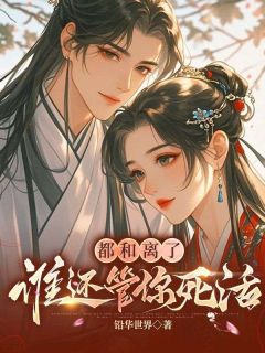 宋昭慕容衔都和离了,谁还管你死活全章节免费阅读