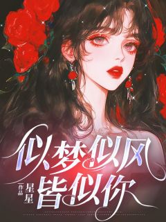 似梦似风皆似你小说(完本)-曲欣欣肖淮清无错版阅读