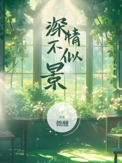 深情不似景舒涵司景林翩然-小说未删减阅读