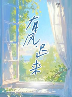 百度贴吧小说有风迟来,主角徐珊苏恒全文免费