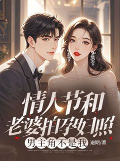 百度贴吧小说情人节和老婆拍孕妇照，男主角不是我，主角梁晟梁辉沈清全文免费