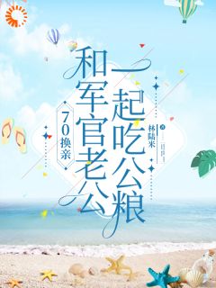林陆米写的小说70换亲,和军官老公一起吃公粮在线阅读