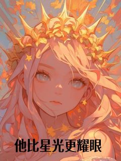 (精品)他比星光更耀眼小说
