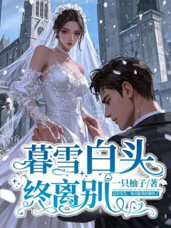 暮雪白头终离别在哪免费看，陆景琛沈诗涵小说章节目录阅读