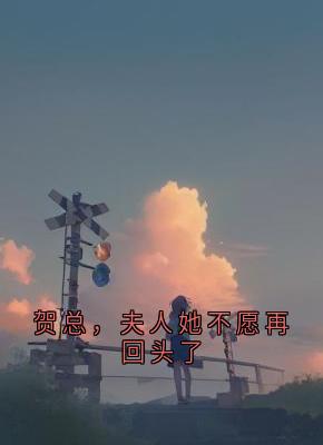 贺总，夫人她不愿再回头了小说(完本)-岑烟贺南屿无错版阅读