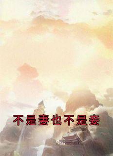 抖音完结不是妻也不是妾谢知唯沈钰(全文在线阅读)