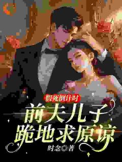 时念最新小说假死倒计时:前夫儿子跪地求原谅盛菀凝秦昼川在线试读