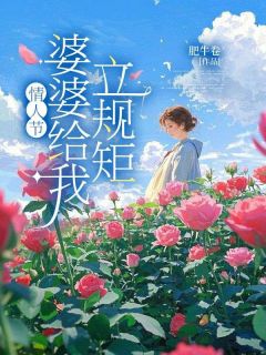 独家情人节,婆婆给我立规矩小说-主角林冉陆斐全文免费阅读-欧迈阅读网