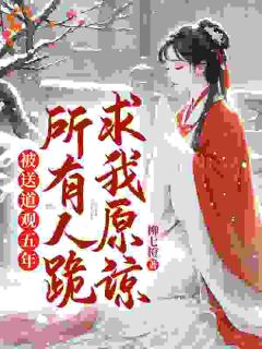 书荒必备纪星念宁惟煦小说