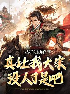 敌军压境?真让我大宋没人了是吧完整版-燕然苏青莲在线全文阅读