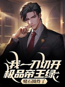 林逍秦冰妍小说<我一刀切开极品帝王绿,赌石圈炸了>全文在线阅读-欧迈阅读网