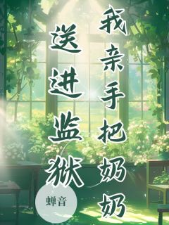 我亲手把奶奶送进监狱免费阅读全文,主角沈黎奶奶小说完整版