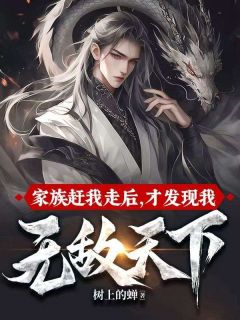 家族赶我走后，才发现我无敌天下(叶昊叶万钧)全文章节在线阅读