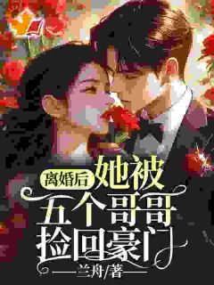 追了老公二十年,他从未认真对待我小说(完本)-宋昔陆宴洲无错版阅读