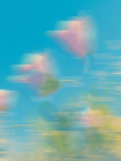 精彩小说马安英新阳马国军我掀了年夜饭桌全文目录畅读