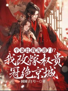 慕窈陆秩小说抖音热文平妻比我先进门？我改嫁权贵冠绝京城完结版