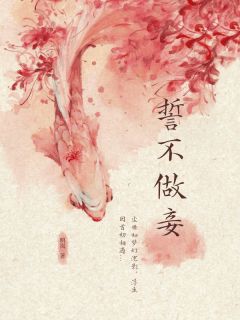 誓不做妾(楚眀钊素素)精彩小说目录阅读