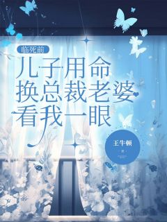 主角是沈玥林成鑫苏漠的小说临死前，儿子用命换总裁老婆看我一眼最完整版热门连载