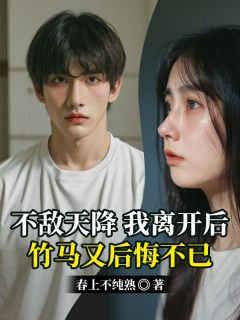 不敌天降,我离开后,竹马又后悔不已无弹窗在线阅读-欧迈阅读网