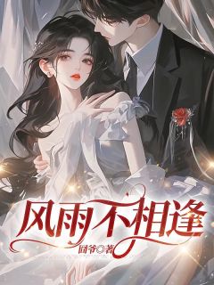 风雨不相逢(景舒苏可心)小说全章节目录阅读