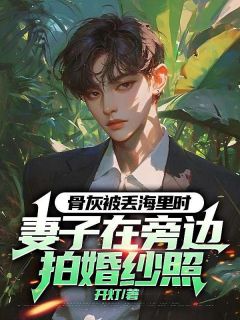 骨灰被丢海里时，妻子在旁边拍婚纱照江言宋佳萧寒免费阅读-骨灰被丢海里时，妻子在旁边拍婚纱照开灯小说