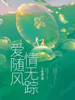 爱随风,情无踪宋佳怡沈安屿大结局小说全章节阅读