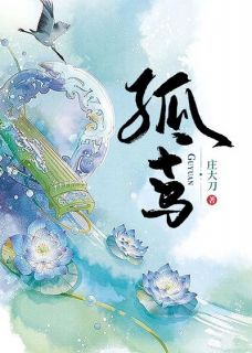 乔鸢飞赵渊小说孤鸢完整章节-欧迈阅读网