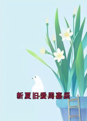 新夏旧爱周嘉辰小说连雾陆西野最新章节阅读-欧迈阅读网