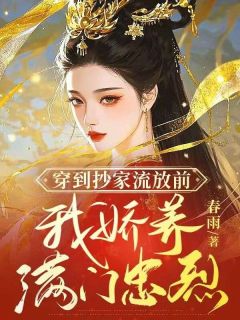 知乎小说穿到抄家流放前，我娇养满门忠烈主角是贺兰声沈斯聿全文阅读