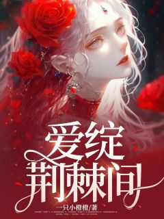 爱绽荆棘间（苏瑶林宇）精彩小说目录阅读-欧迈阅读网