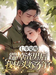 陆枝枝沈修迟昭昭如愿小说全章节最新阅读