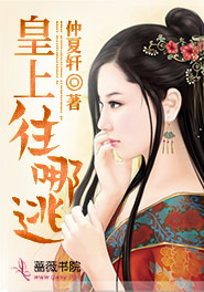 皇上,往哪逃小说的书名是什么