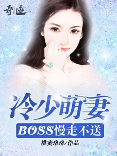 抖音爆款冷少萌妻:BOSS慢走不送洛晓靖冷御无广告阅读