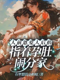 免费试读主角叶巧慧秦时小说-欧迈阅读网