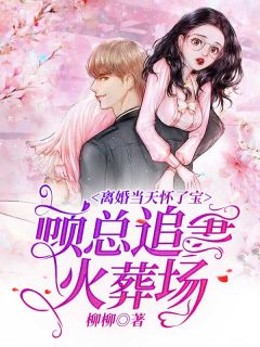 离婚当天怀了宝,顾总追妻火葬场免费小说作者柳柳全文阅读