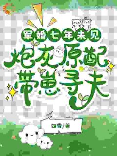 高质量小说军婚七年未见,炮灰原配带崽寻夫在线试读